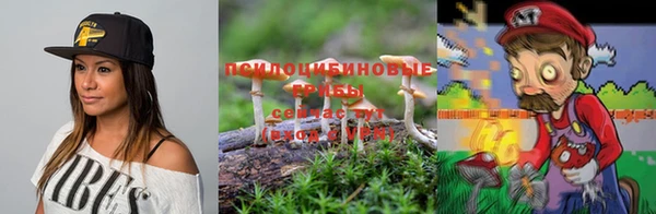 крисы Балабаново
