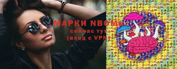 амф Гусиноозёрск