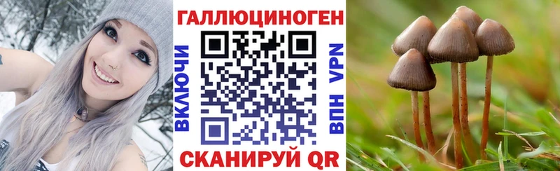 Псилоцибиновые грибы Psilocybine cubensis Купить закладки Суровикино